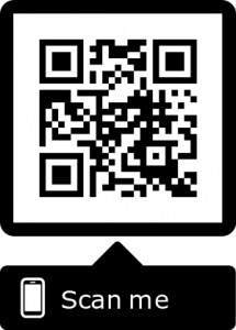 icon qr